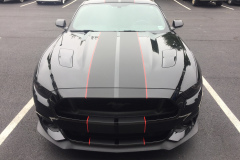 Ford_Mustang_Rally_Matte_Black_Stripes-1