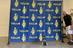 Yellin_Backdrop